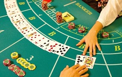 animale de compagnie